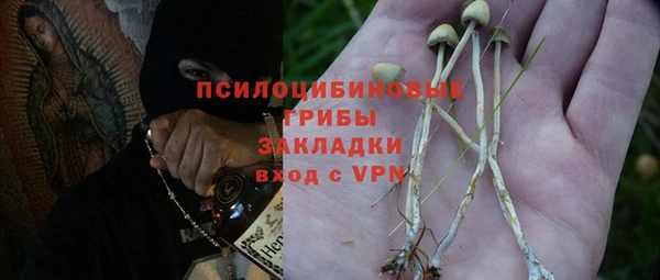 меф Арсеньев