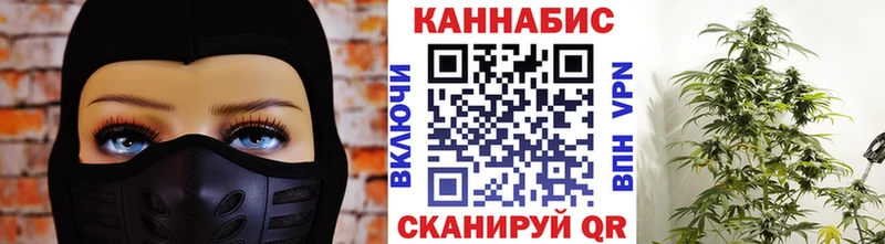 Бошки марихуана планчик  Руза 